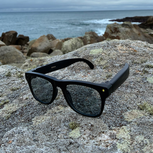 Gafas inteligentes IA Profesional