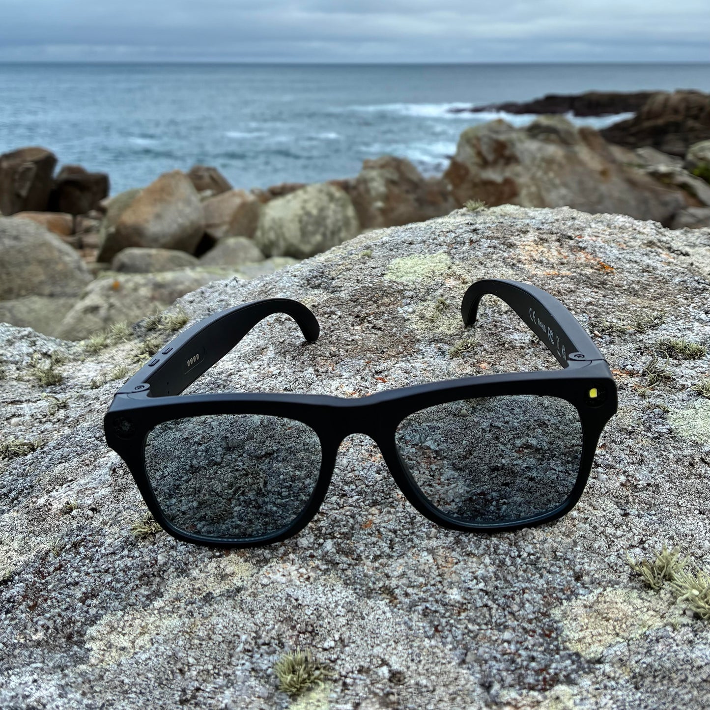 Gafas inteligentes IA Profesional