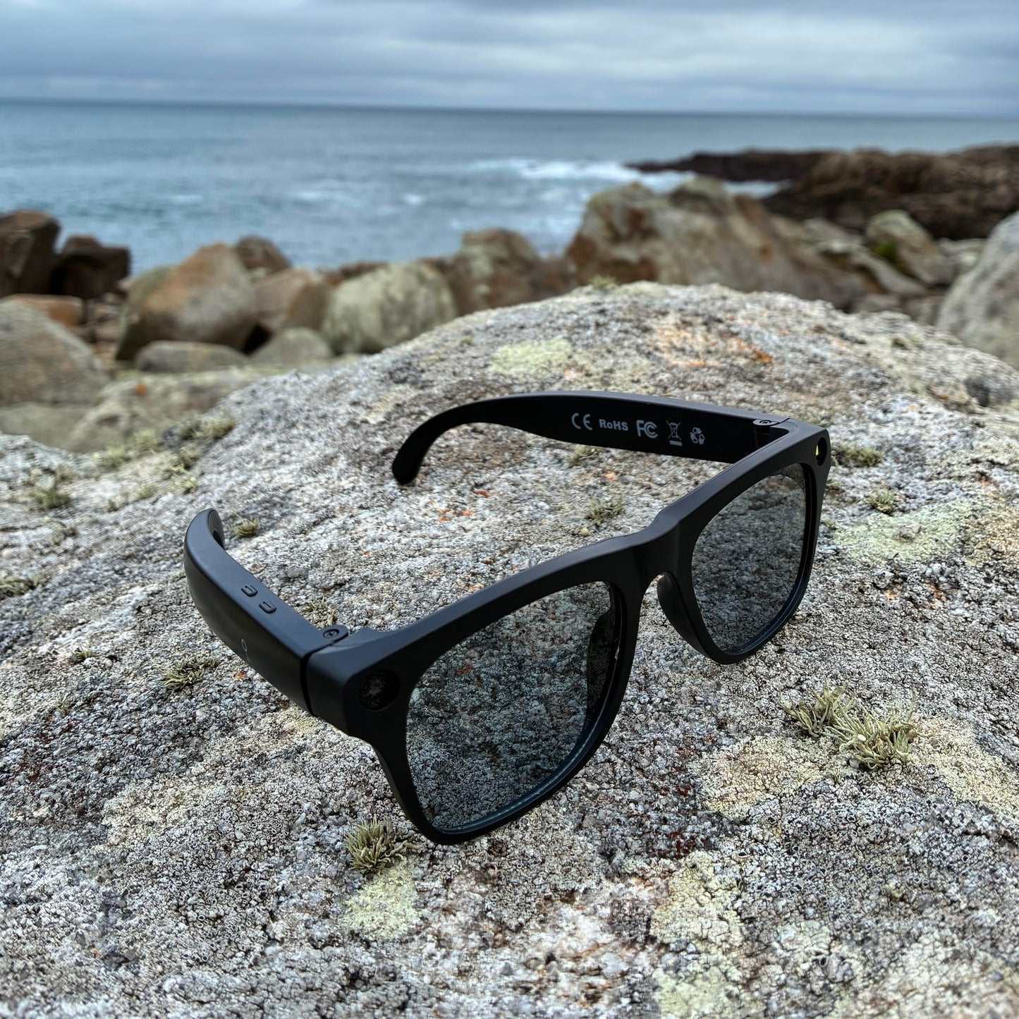 Gafas inteligentes IA Profesional